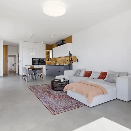 Cozy And Luxury Penthouse ברטיסלאבה